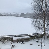 Snow scene image.